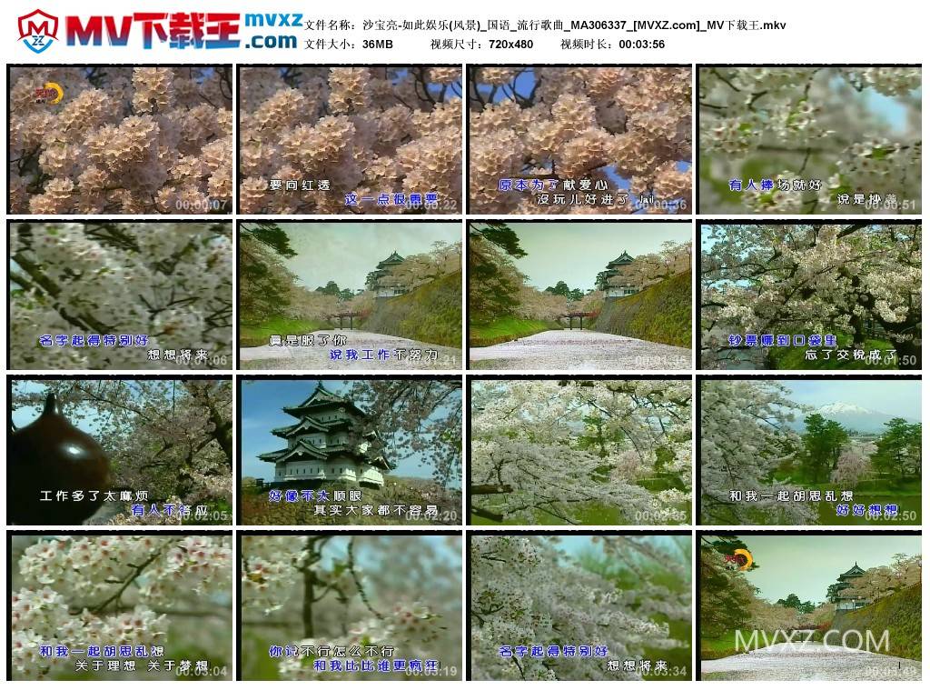 沙宝亮-如此娱乐(风景)_国语_流行歌曲_MA306337